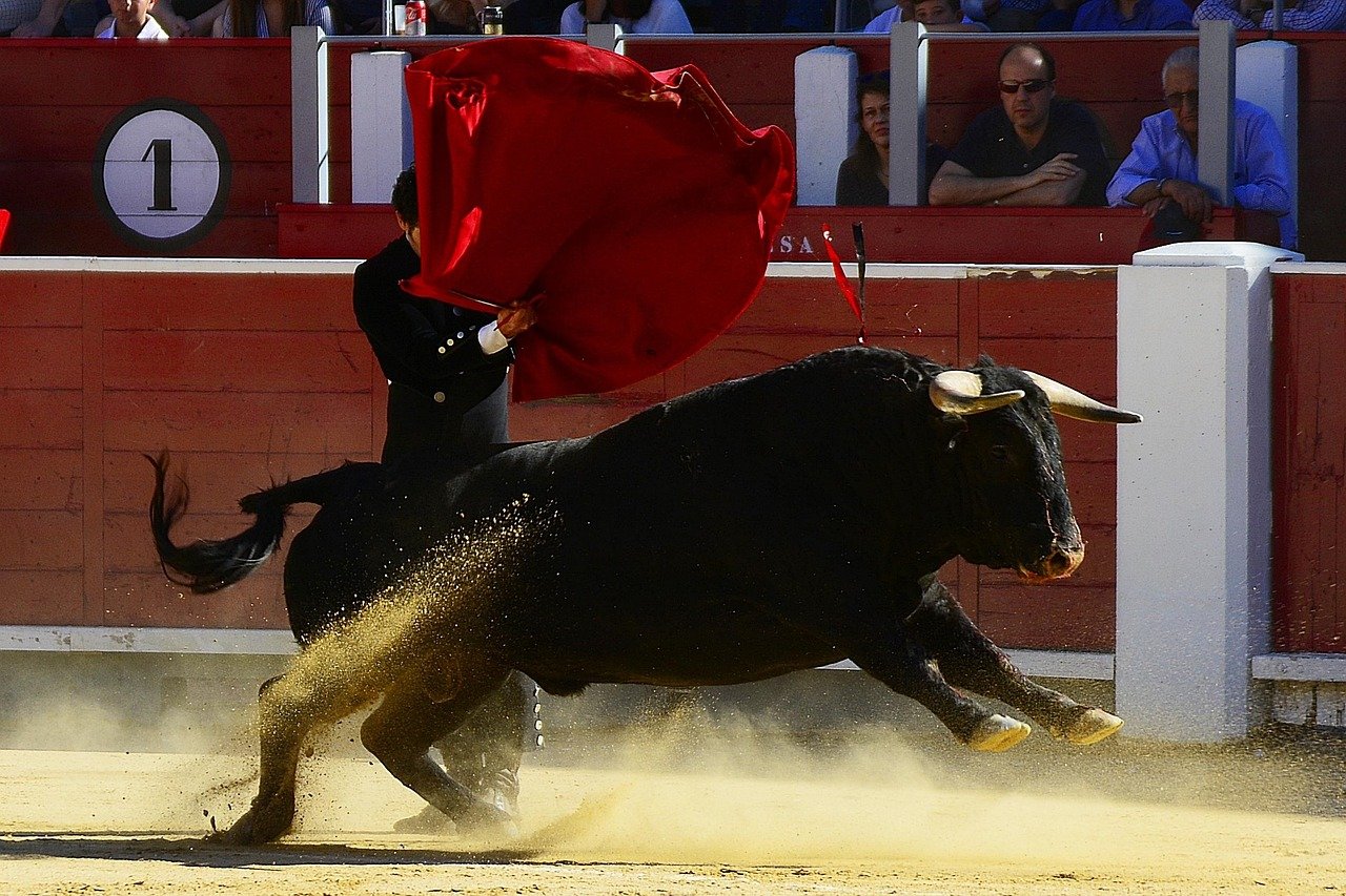 02434 letur albacete