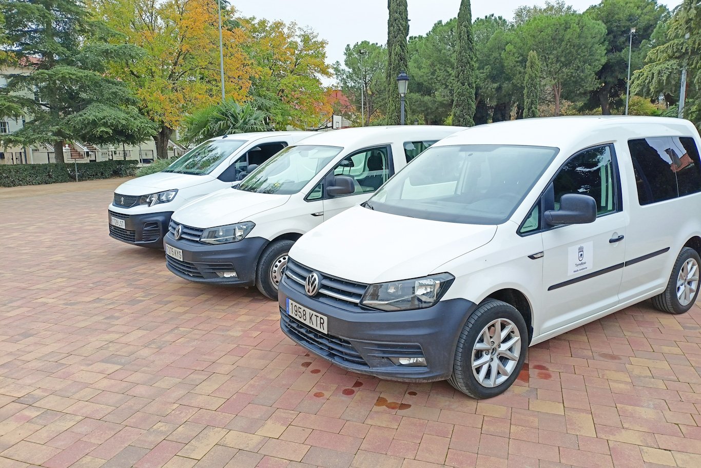 Comparte este contenido en Twitter