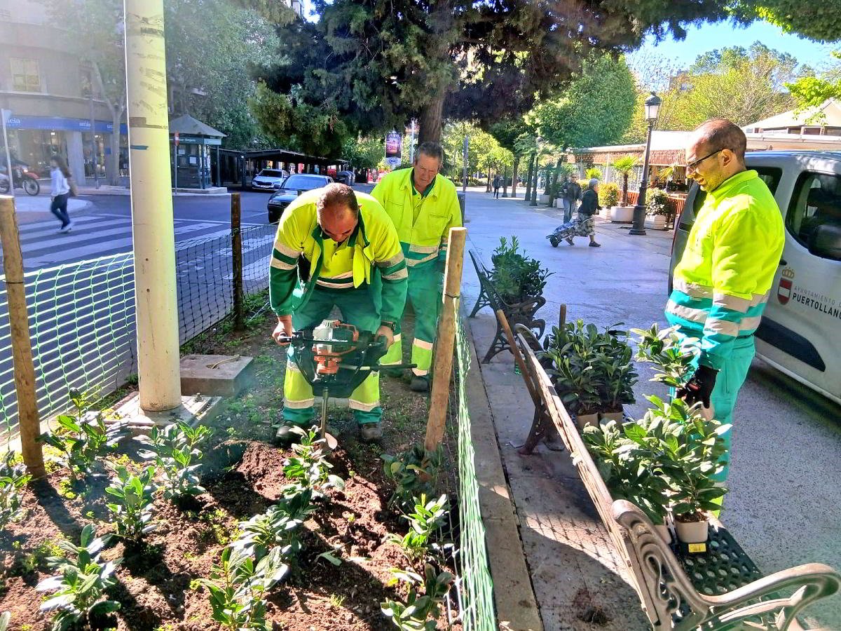 El Pleno de Puertollano aprueba la contratación de cinco personas con discapacidad para zonas verdes