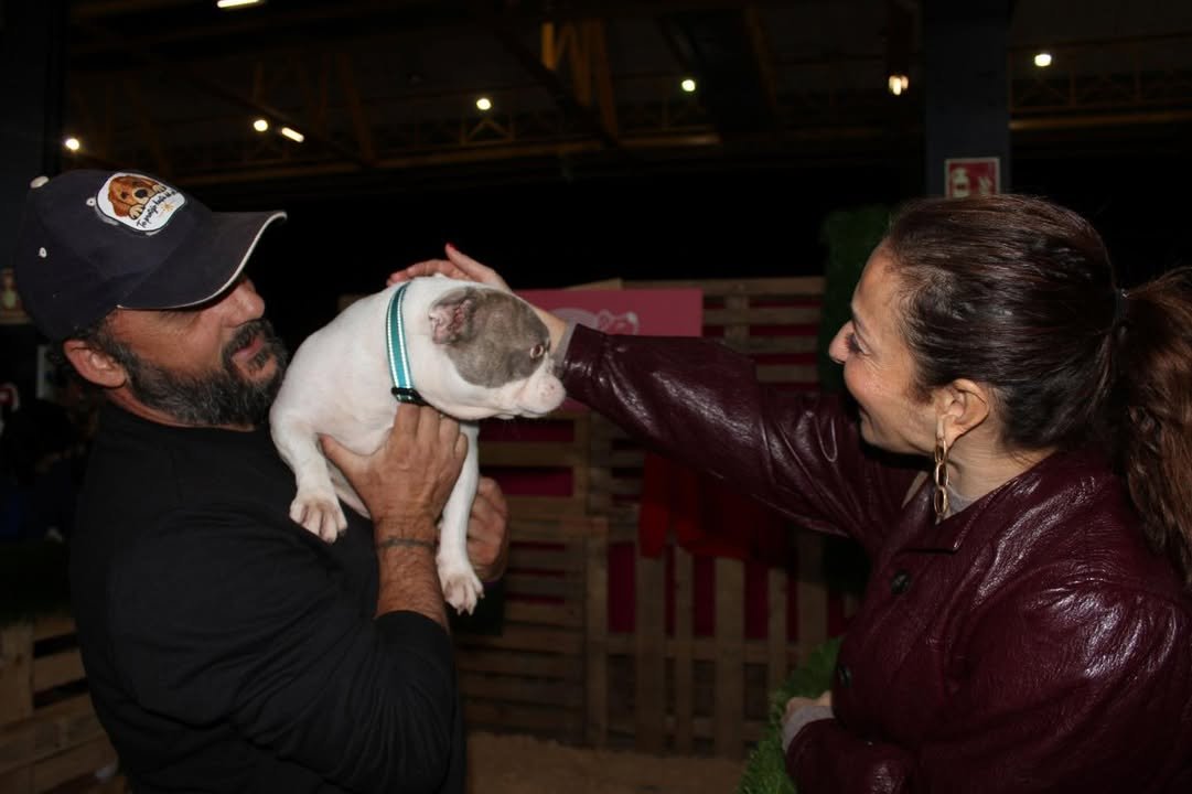 La II Feria Nacional de Adopciones 'Adopta un Pana' impulsa el bienestar animal en Albacete